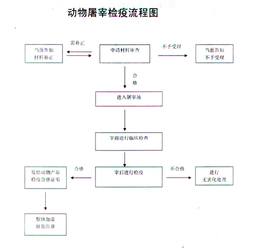 鸡东人口_鸡东客车(2)